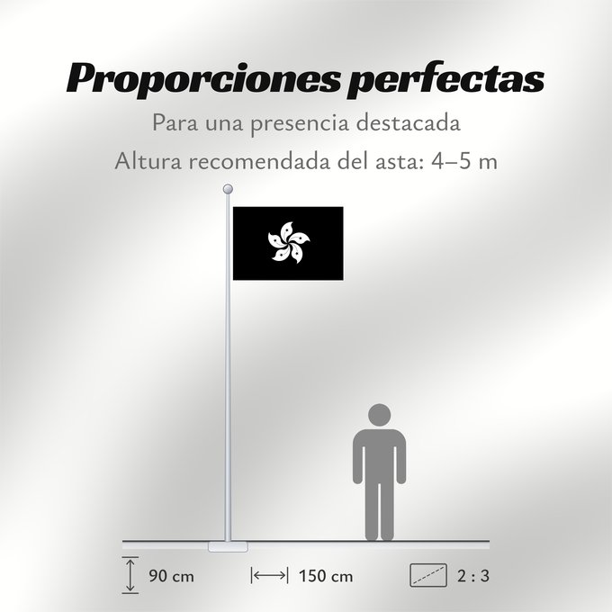 Proporciones de la bandera: Hong Kong  black and white; variant 1	Black Flag of Hong Kong	Hong Kong (noir et blanc ; variante 1)	Hong Kong (blanco y negro; variante 1)	Hongkong (Schwarz-Weiß; Variante 1)	Hong Kong (bianco e nero; variante 1)	香港區旗原裝染黑版