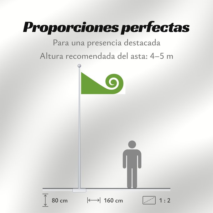 Proporciones de la bandera: NZ flag design Modern Hundertwasser by Tomas Cottle	Modern Hundertwasser The koru