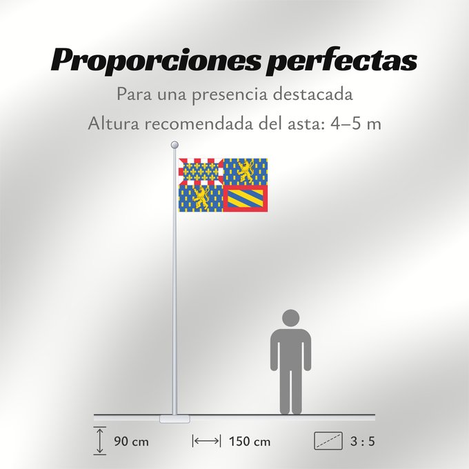 Proporciones de la bandera: Region Bourgogne-Franche-Comté Administrative region Bourgogne-Franche-Comté with the gobbony error shown on the actual Bourgogne-Franche-Comté (avec erreur de gobboni) Bourgogne-Franche-Comté (con error de gobelino) Bourgogne-Franche-Comté (mit Gobboni-