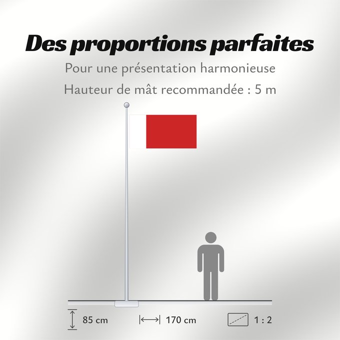 Proportions du drapeau : Dubai Dubaï
