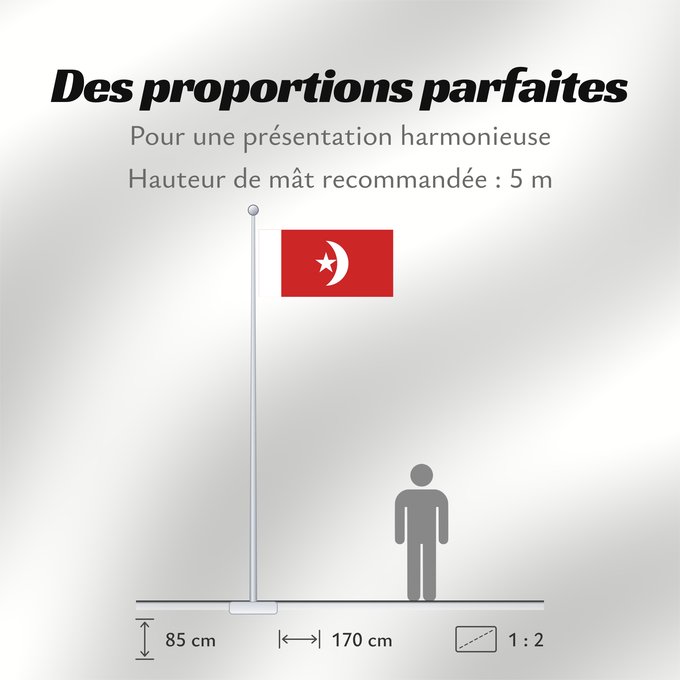 Proportions du drapeau : Umm al-Qaiwain Umm al-Quwain علم إمارة أم القيوين