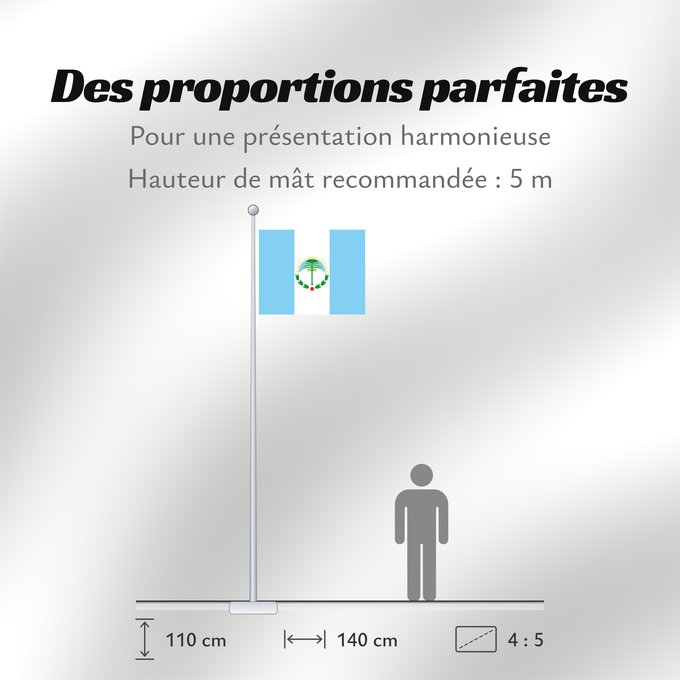 Proportions du drapeau : Neuquén