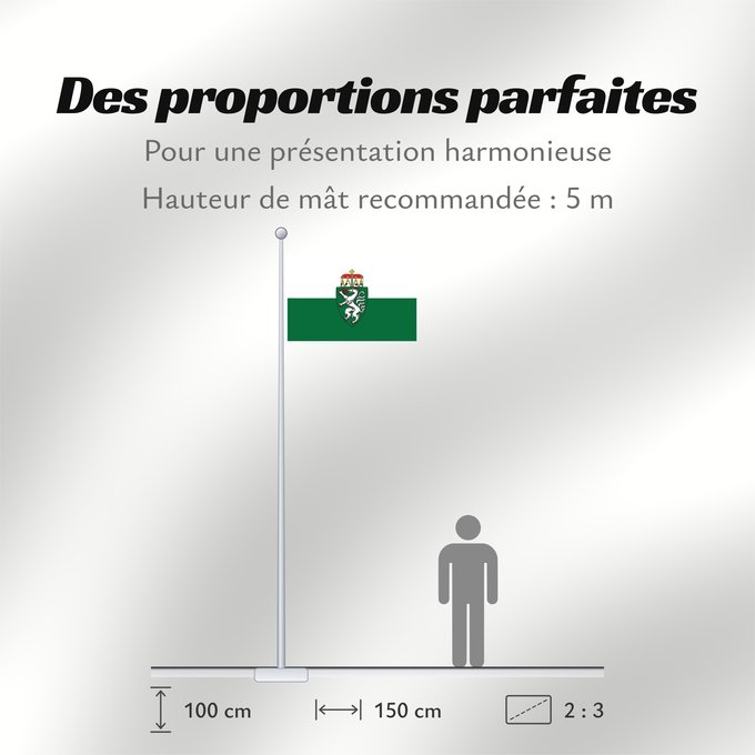 Proportions du drapeau : Styria	White-green. Colours of the state of Styria	Styrie	Estiria	Weiß-grün. Landesfarben der Steiermark	Stiria
