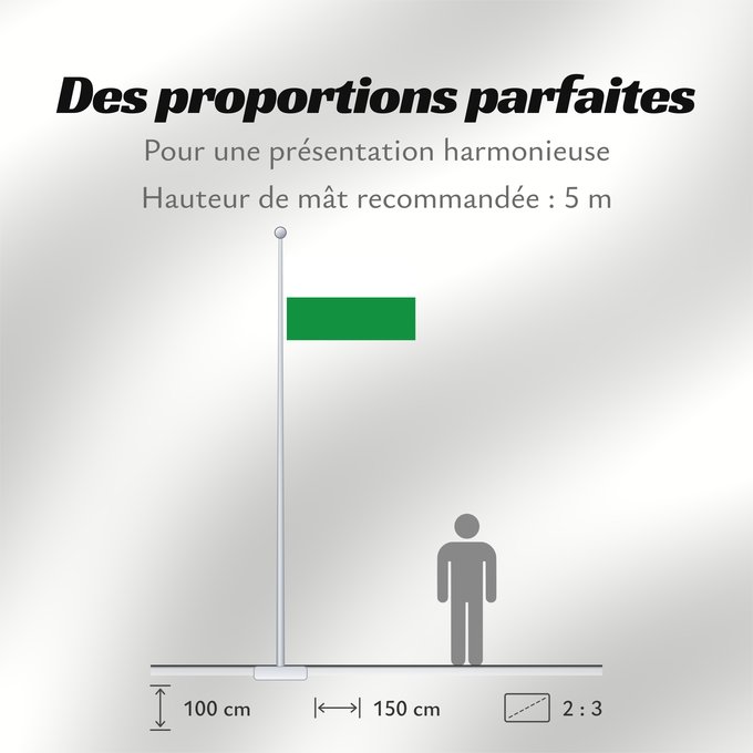 Proportions du drapeau : Styria White-green. Colours of the state of Styria Styrie Estiria Weiß-grün. Landesfarben der Steiermark Stiria