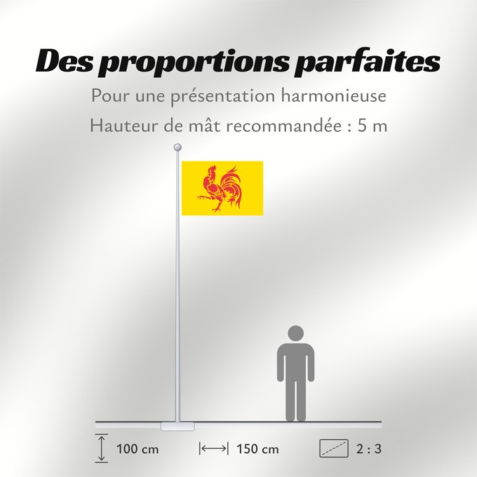 Proportions du drapeau : Wallonia	Wallonia (Walloon Region)	Wallonie	Walloon region	Wallonien	Regione vallona	Wallonië	Banniel Wallonia	پرچم والونی	Прапор Валлонії	Drapea walon