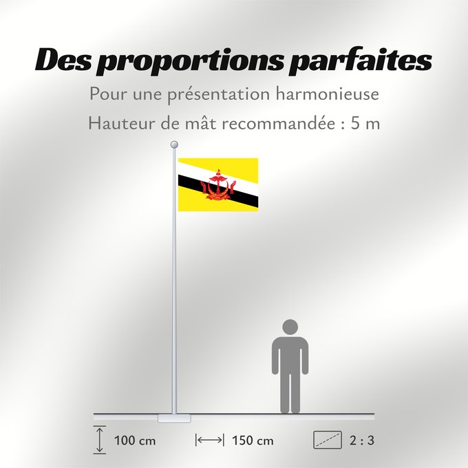 Proportions du drapeau : Brunei Brunei Darussalam Brunéi علم بروناي Bruneis Brunein 브루나이의 국기 Bruney Brunei / بنديرا بروني ဘရူနိုင်းနိုင်ငံ၏ အလံတော် Флаг Брунея Bruneja புரூணை கொடி ธงชาติบรูไนดารุสซาลาม Watawat Brunay Cờ Brunei 文莱国旗