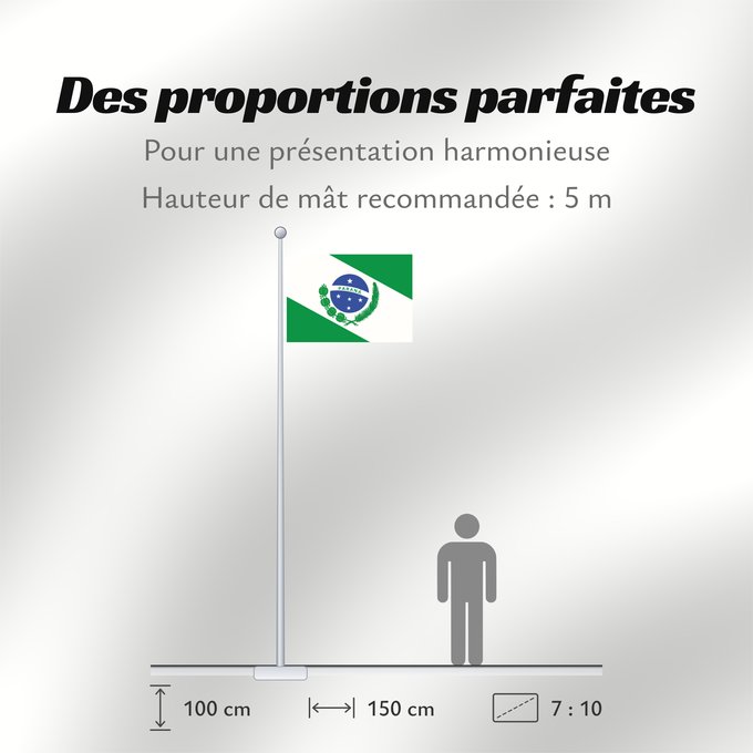 Proportions du drapeau : Paraná
