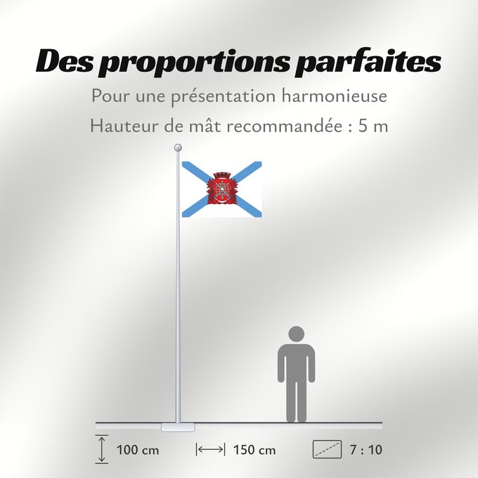 Proportions du drapeau : Cidade do Rio de Janeiro City of Rio de Janeiro Rio de Janeiro Río de Janeiro Stadt Rio de Janeiro