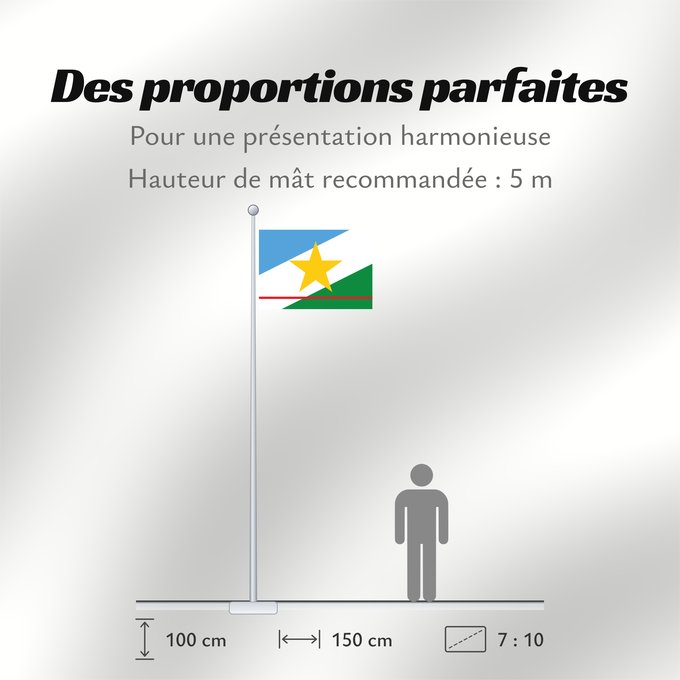 Proportions du drapeau : Roraima