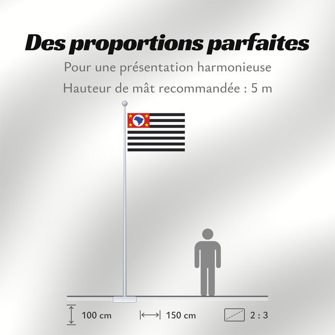 Proportions du drapeau : São Paulo Sao Paulo São Paulo, Brasil