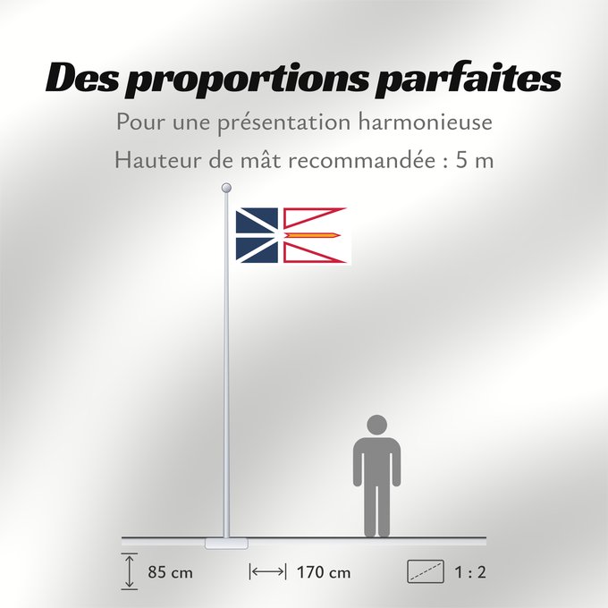 Proportions du drapeau : Newfoundland and Labrador	Terre-Neuve-et-Labrador	Terranova y Labrador	Neufundland und Labrador	Terranova	Banniel Douar-Nevez ha Labrador