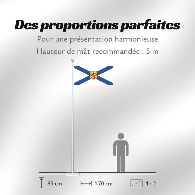Proportions du drapeau : Nova Scotia Nouvelle-Écosse Nueva Escocia Banniel proviñs Skos-Nevez Nova Scotia
