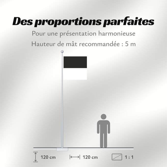 Proportions du drapeau : Canton of Fribourg Fribourg Kanton Freiburg