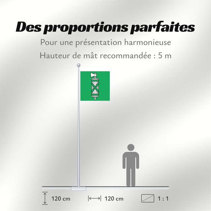 Proportions du drapeau : Canton of Sankt Gallen	Canton of St. Gallen	Saint-Gall	San Galo o San Gall	St. Gallen 	St. Gallen	Canton of Sankt Gallen  Saint Gallen