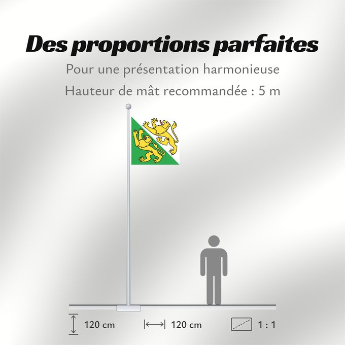 Proportions du drapeau : Canton of Thurgau Thurgau canton de Thurgovie cantón de Turgovia Canton of Thurgau in Switzerland