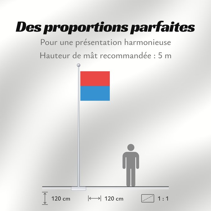 Proportions du drapeau : Canton of Tessin	Canton Ticino or Ticino	canton du Tessin	Cantón del Tesino	Ticino	Canton of Tessin  Switzerland