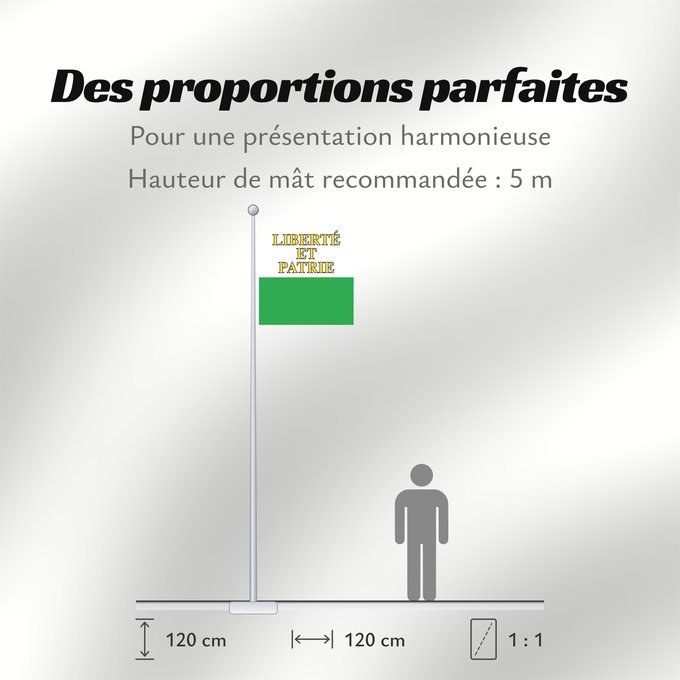 Proportions du drapeau : Canton of Vaud	Vaud	canton de Vaud	República y cantón de Vaud	Vaud 