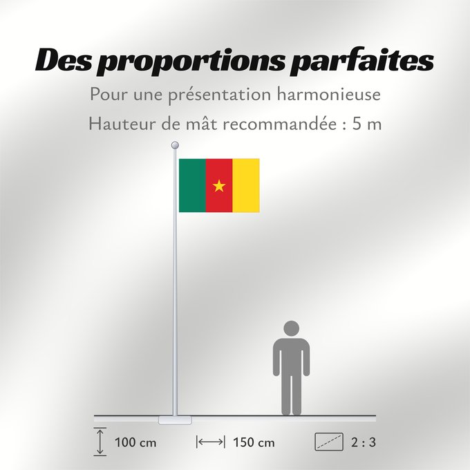 Proportions du drapeau : Cameroon Cameroun Camerún Kamerun Camerun ক্যামেরুনের পতাকা। Kamerunu Kameruno پرچم کامرون Fändel vum Kamerun Знаме на Камерун Camerunului Kameruna Kameruns