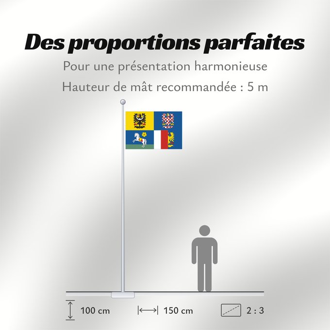 Proportions du drapeau : Moravian-Silesian Region	Région de Moravie-Silésie	Región de Moravia-Silesia	Moravian-Silesian	Moravskoslezského kraje čtvrcený list v horním žerďovém žlutém poli slezská orlice v dolním žerďovém modrém poli na zeleném trávníku
