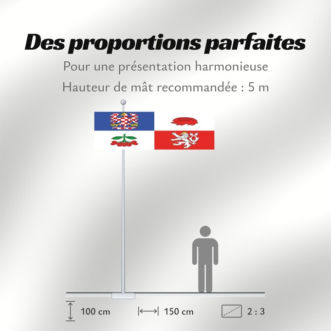 Proportions du drapeau : Vysocina Region	Vysočina Region	Région de Vysočina	Región de Vysočina	Region Vysočina