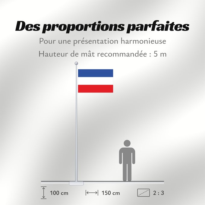Proportions du drapeau : Schleswig-Holstein