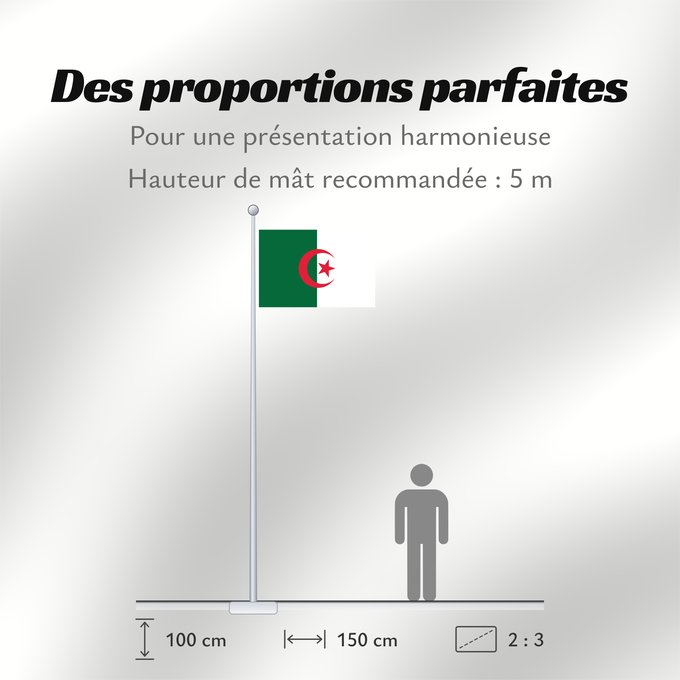 Proportions du drapeau : Algeria L Algérie Argelia Algerien Dell Algeria Algerije Argélia Algierii Vo Algérie علم الجزائر Σημαία της Αλγερίας Alĝerio Algerian דגל אלג יריה Algéria Aljazair アルジェリアの国旗 Asenǧaq n Dzayer 알제리의 국기 Drapèu d Argeria Флаг Алжира Alžirije Algeriets ⴰⵏⴰⵢ ⴰⴷⵣ