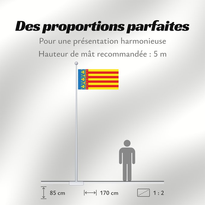 Proportions du drapeau : Land of Valencia  official	Land of Valencia, 1 2 ratio	Valencia Community	Comunidad Valenciana, proporciones 1 2	Valencian Community	Comunità Valenciana	D o Comunidat Balenziana	Comunidá Valenciana	Comunitat Valenciana, proporcions 1 2	Valentziako Erkideg