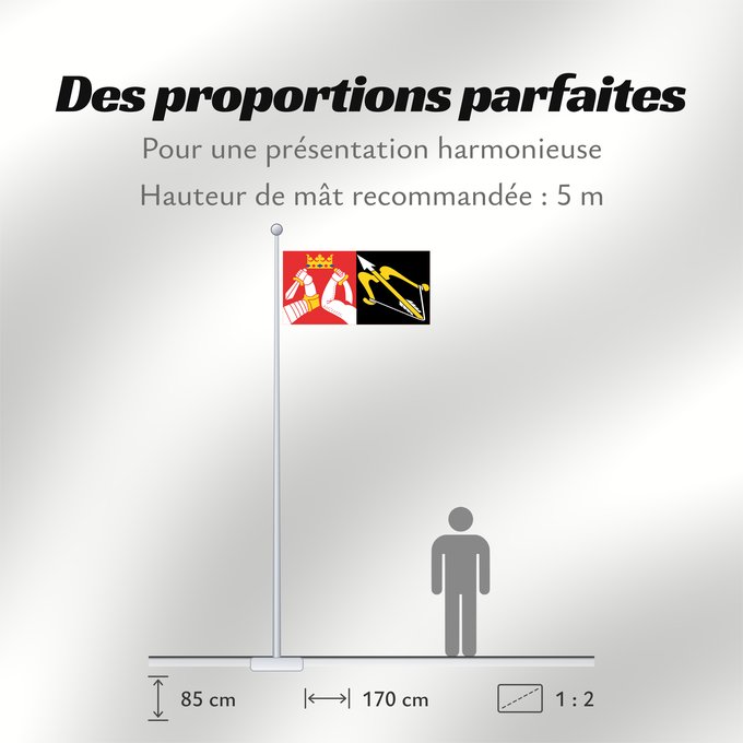 Proportions du drapeau : Itä-Suomen lääni