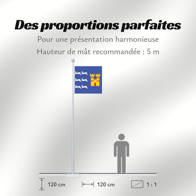 Proportions du drapeau : Oulun lääni