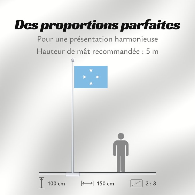 Proportions du drapeau : Federated States of Micronesia	Micronesia	Micronésie	Mikronesien