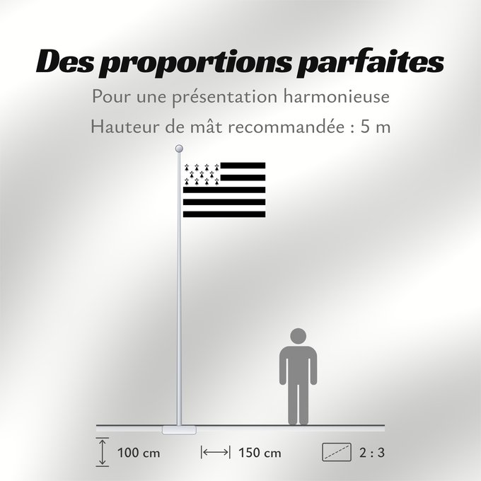 Proportions du drapeau : Brittany	The Gwenn-ha-du, flag of Brittany	Le Gwenn-ha-du, drapeau de la Bretagne	Spaniel Bretón	Bretagna	Ar Gwenn-ha-du, banniel Breizh