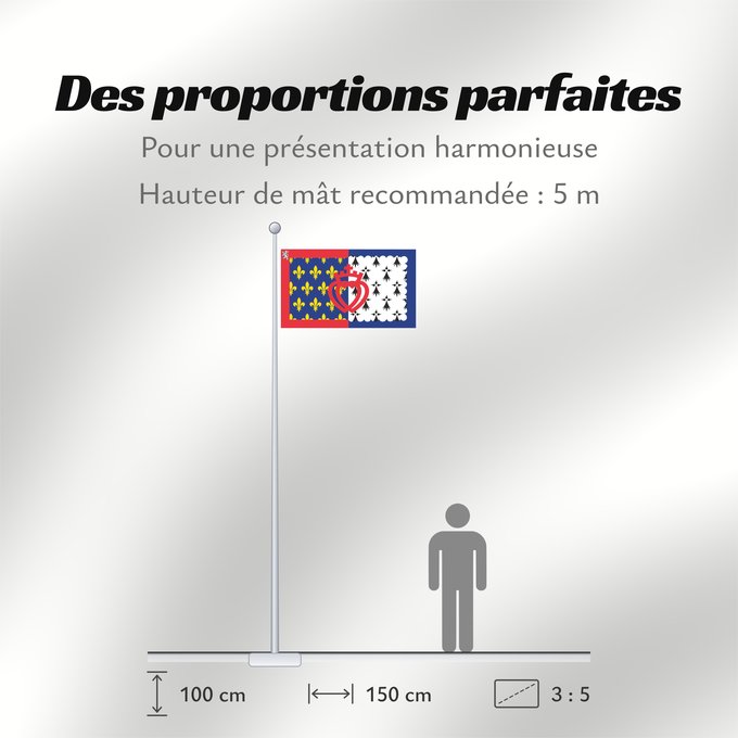 Proportions du drapeau : Unofficial flag of Pays-de-la-Loire	Unofficial flag of the region Pays-de-la-Loire in France	Non officiel de la région Pays-de-la-Loire	Países del Loira	Pays de la Loire	Los Païses de Léger