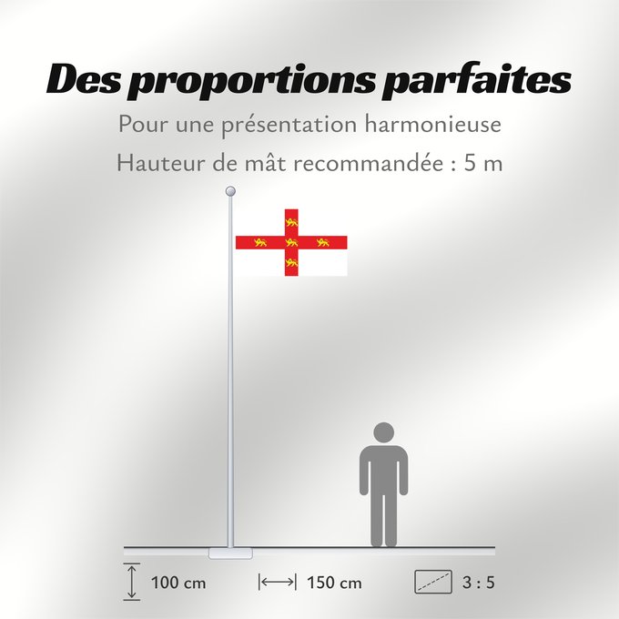 Proportions du drapeau : York