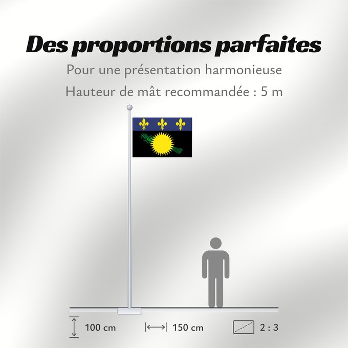 Proportions du drapeau : Unofficial flag of Guadeloupe  local	Unofficial local flag of Guadeloupe	Guadeloupe	Guadalupe. Uso no oficial	Guadalupa