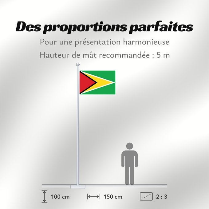 Proportions du drapeau : Guyana Guiana Wayana wiphala Gujano Gwayana Wayana unancha Флаг Гайаны Guyanas Quốc kỳ Guyana