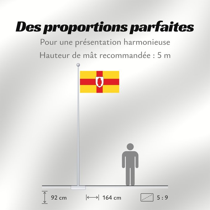 Proportions du drapeau : Ulster Ulster heraldic banner of traditional coat of arms of the province Úlster