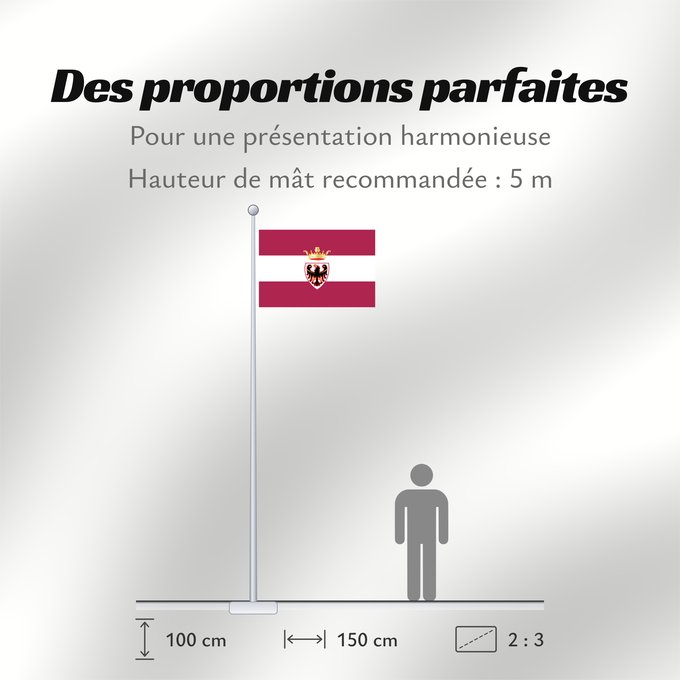 Proportions du drapeau : Trento Province	Autonomous Province of Trento - Trentino	Province Autonome de Trente - Trentin	Provincia Autónoma de Trento - Trentino	Autonomen Provinz Trient - Trentino/Welschtirol	Provincia Autonoma di Trento - Trentino	Autonome Provincie Trente - Tren