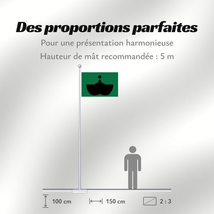 Proportions du drapeau :  Tiba [Chiba]