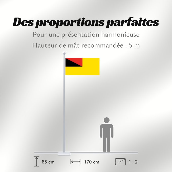 Proportions du drapeau : Negeri Sembilan	Negeri Sembilan, a state of Malaysia