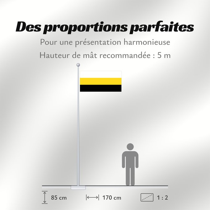 Proportions du drapeau : Perak Malaysian state of Perak