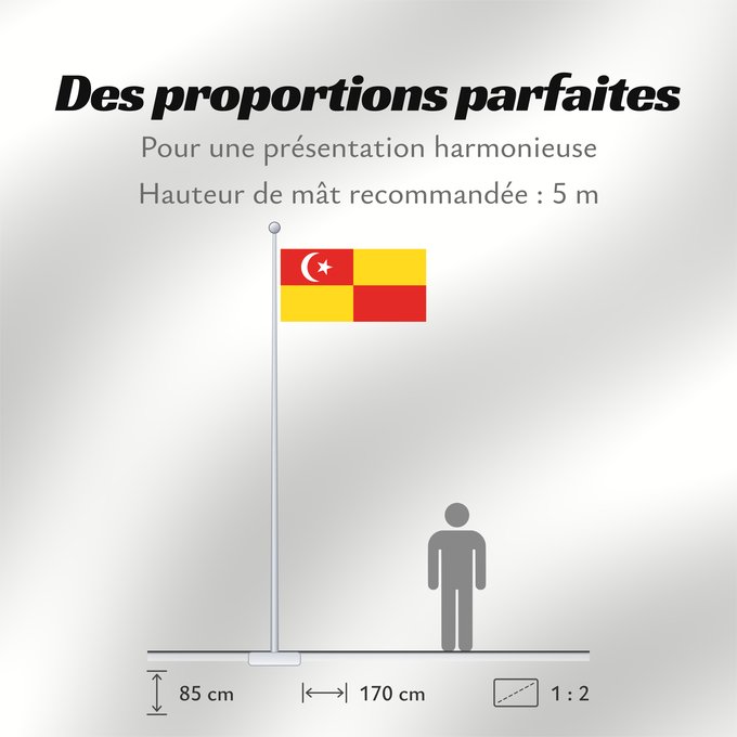 Proportions du drapeau : Selangor	Selangor 	Malaysian state Selangor