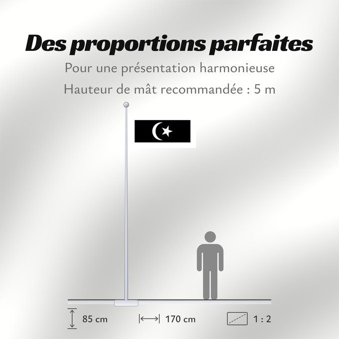 Proportions du drapeau : Terengganu	Malaysian state Terengganu
