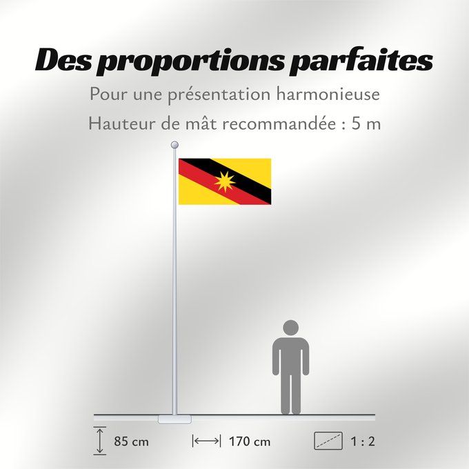 Proportions du drapeau : Sarawak	Malaysian state of Sarawak	Sarawak 