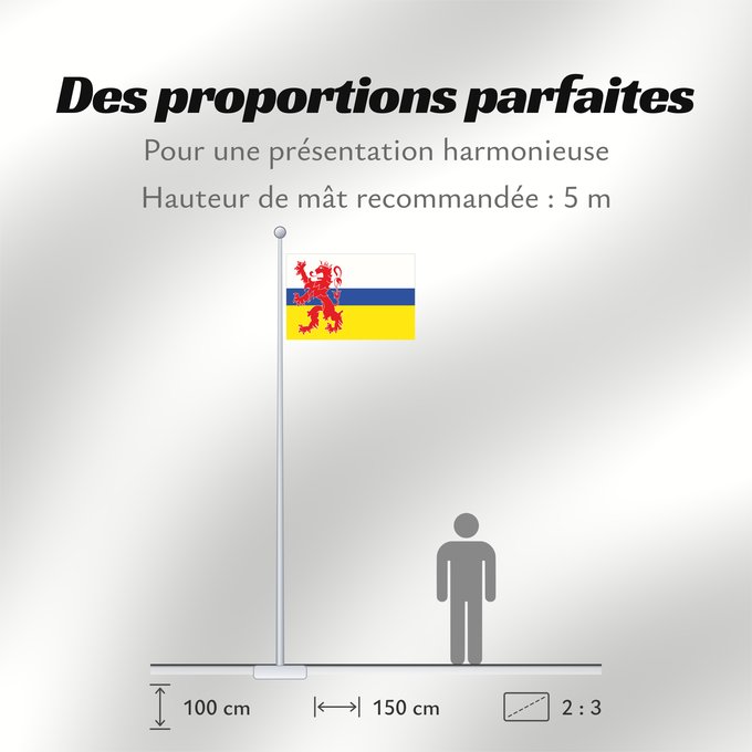 Proportions du drapeau : Limburg  Netherlands	Dutch province Limburg	Limbourg	Limburgo	Limburg	Nederlandse province Limburg