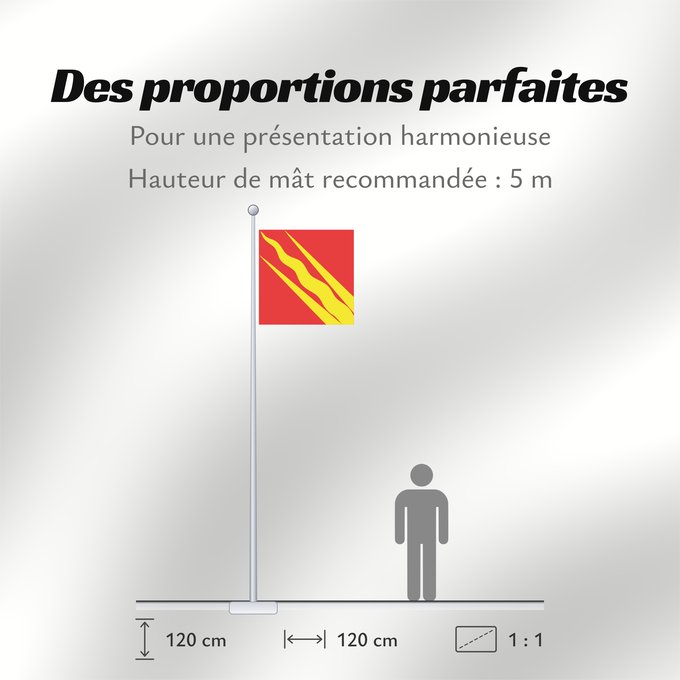 Proportions du drapeau : Østfold County of Østfold, Norway comté d’Østfold