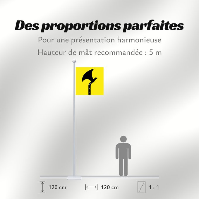 Proportions du drapeau : Telemark