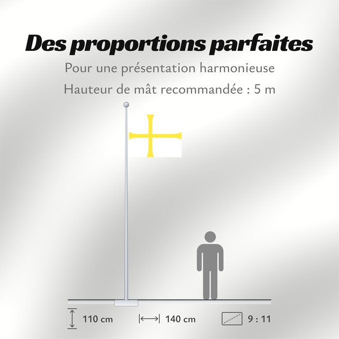 Proportions du drapeau : Nord-Trøndelag	Nord-Trøndelag County, Norway	comté de Nord-Trøndelag