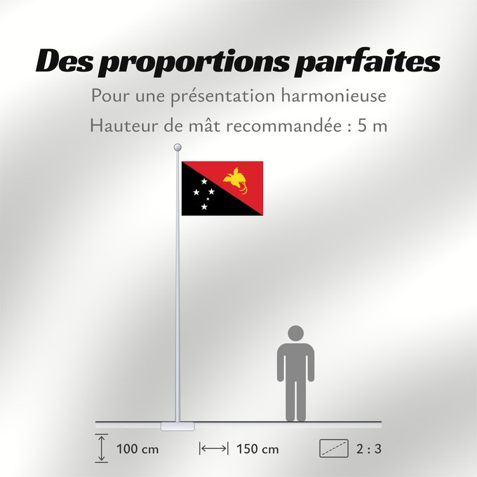 Proportions du drapeau : Papua New Guinea	Papua New GuineaColours Pantone 186 C for red and 116 C for yellow	Papouasie-Nouvelle-Guinée	Papúa Nueva Guinea	Papua-Neuguineas	Papua Nuova Guinea	Papoea-Nieuw-Guinea	Papua-Nova Guiné	Papui-Nowej Gwinei	علم بابوا غينيا الجديدة	পাপুয়া নি