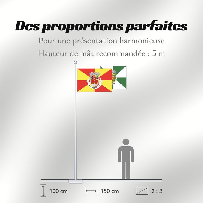 Proportions du drapeau : Viseu