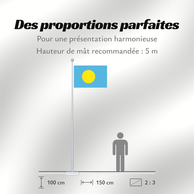 Proportions du drapeau : Palau Palau, made by User Gabbe Palaos Palaos パラオの国旗 Palaua 帕勞國旗